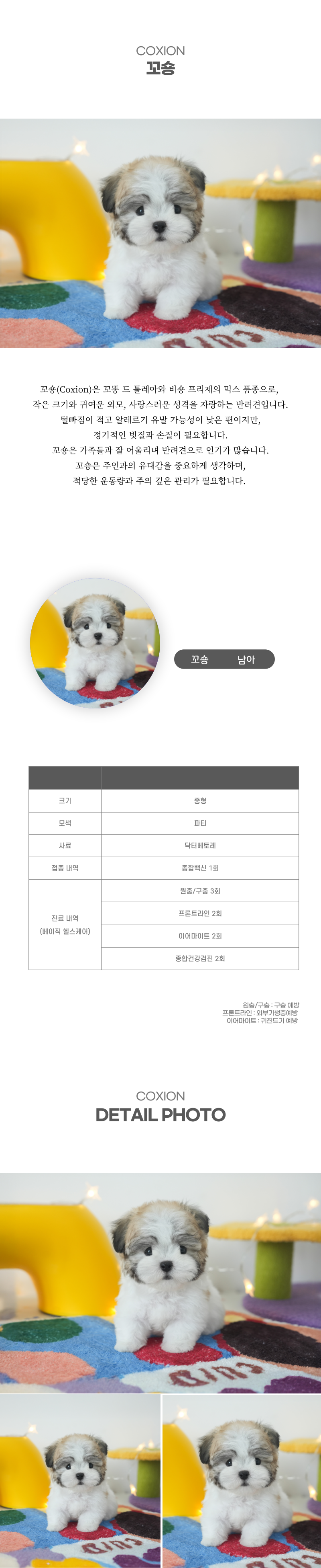 꼬숑_상세이미지_2